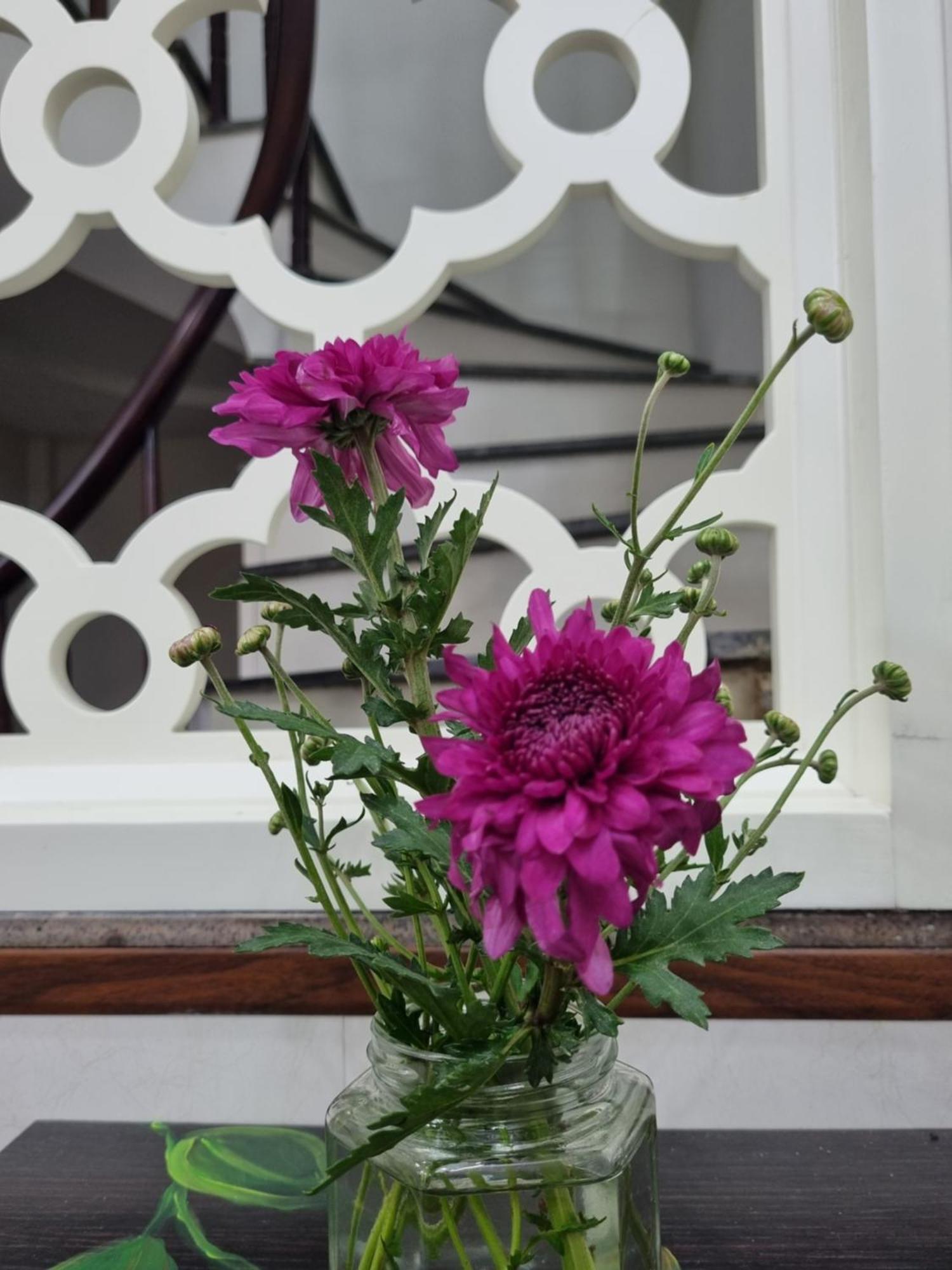 May'S Cottage Hanoi Bilik gambar